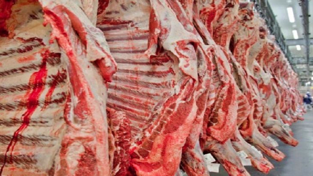 Com alta de quase 30% nas exporta&ccedil;&otilde;es de carnes, MS caminha para ser um Estado multiprote&iacute;na