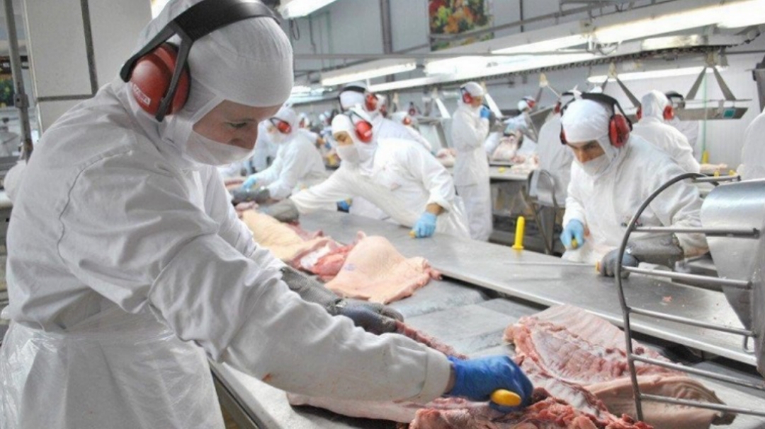 Com alta de quase 30% nas exporta&ccedil;&otilde;es de carnes, MS caminha para ser um Estado multiprote&iacute;na