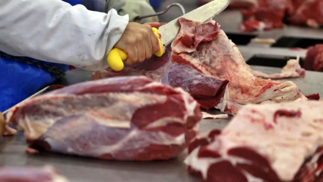 Exporta&ccedil;&atilde;o de carne bovina do Brasil sobe 17%