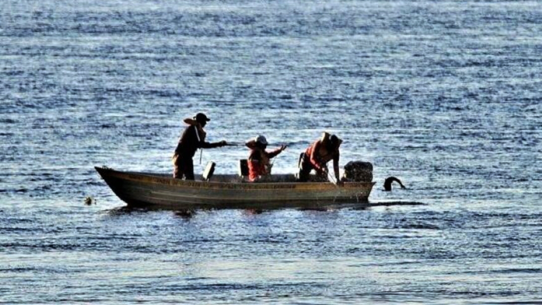 Temporada de pesca come&ccedil;a hoje nos rios de Mato Grosso do Sul