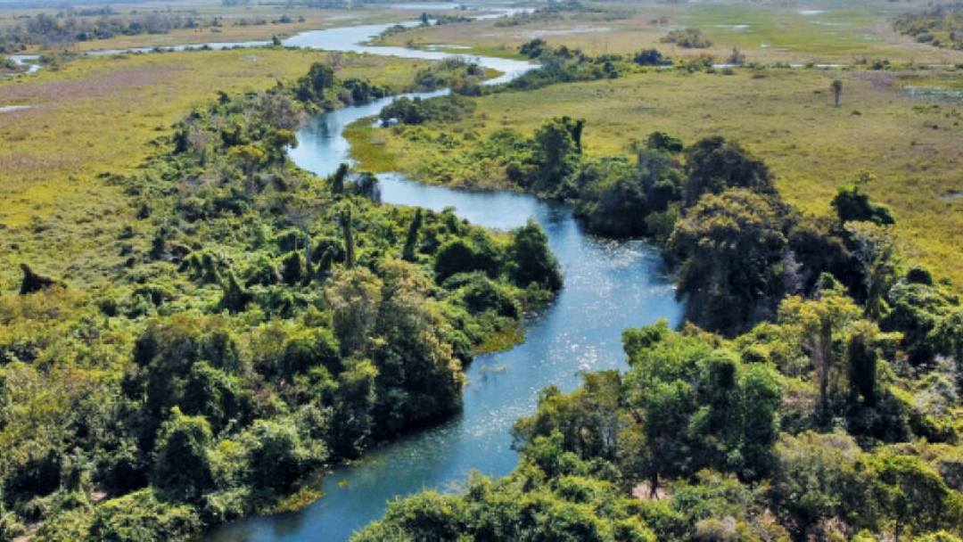 Pantanal j&aacute; recebeu investida para explora&ccedil;&atilde;o at&eacute; de pedras preciosas