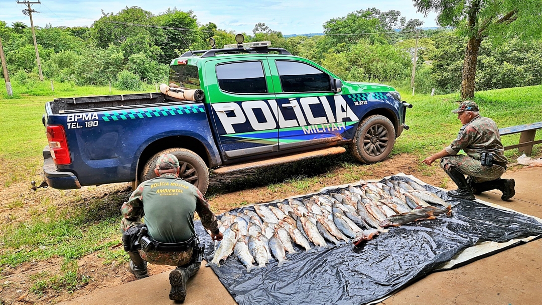 Polícia Militar Ambiental autua 13 pescadores em R$ 14 mil e apreende 330 kg de pescado e 19 redes de pesca na operação Pesca Aberta