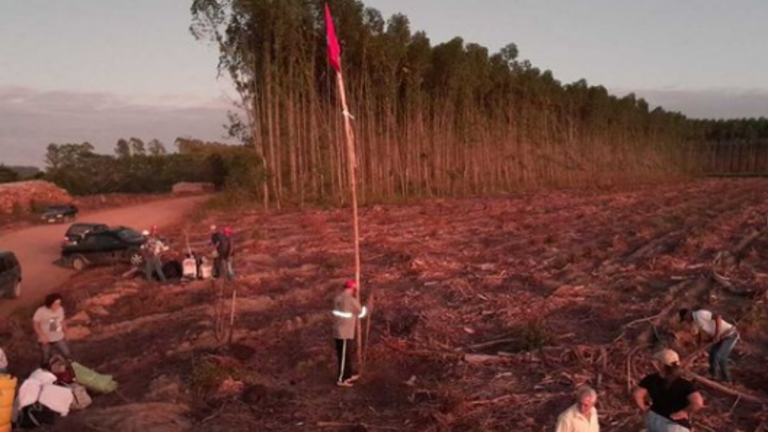 Justi&ccedil;a manda MST desocupar todas as &aacute;reas da Suzano invadidas