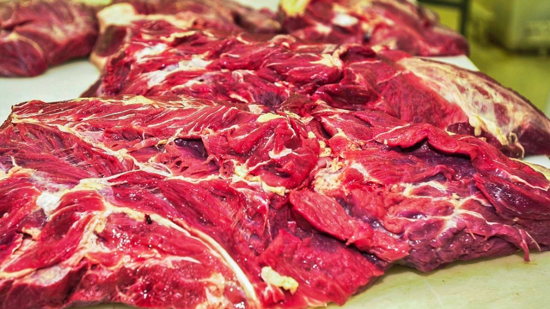 Brasil poder&aacute; exportar carne bovina para o M&eacute;xico