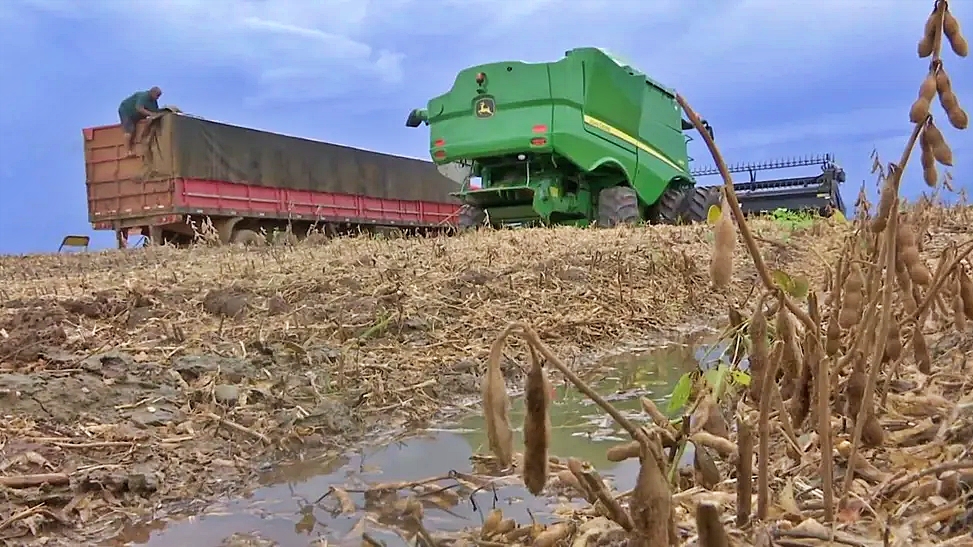 Varia&ccedil;&otilde;es clim&aacute;ticas podem afetar qualidade da soja e atrasar plantio do milho em MS, alerta Conab