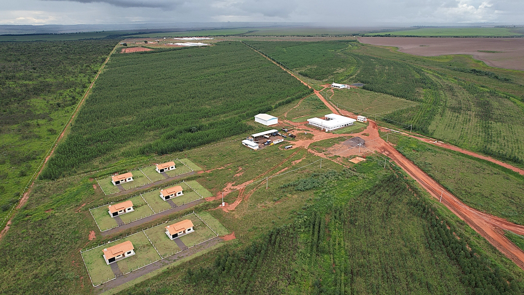 Nova matriz econ&ocirc;mica de Sidrol&acirc;ndia, a SUINOCULTURA, entrar&aacute; em opera&ccedil;&atilde;o em 60 dias