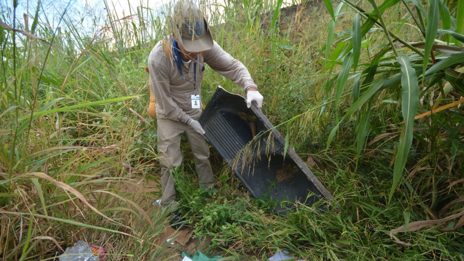 Campo Grande pede ajuda do Ex&eacute;rcito para combater epidemia de dengue