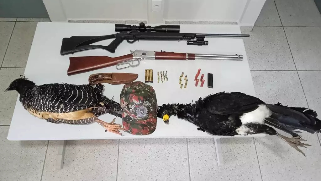 Homem é autuado em R$ 10 mil por caçar mutuns no interior