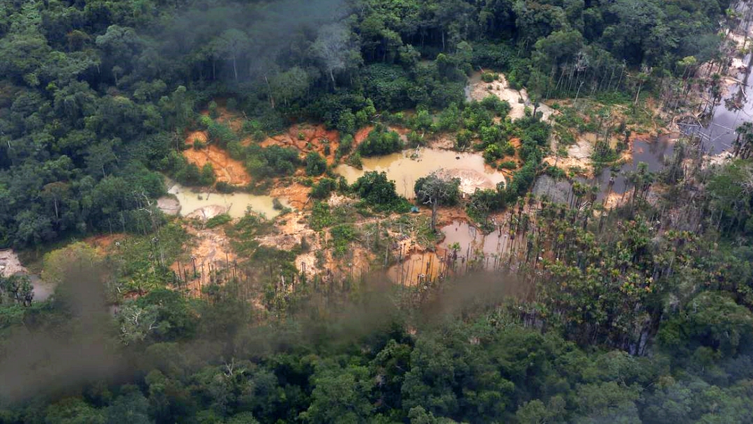 PF combate com&eacute;rcio de ouro extra&iacute;do ilegalmente