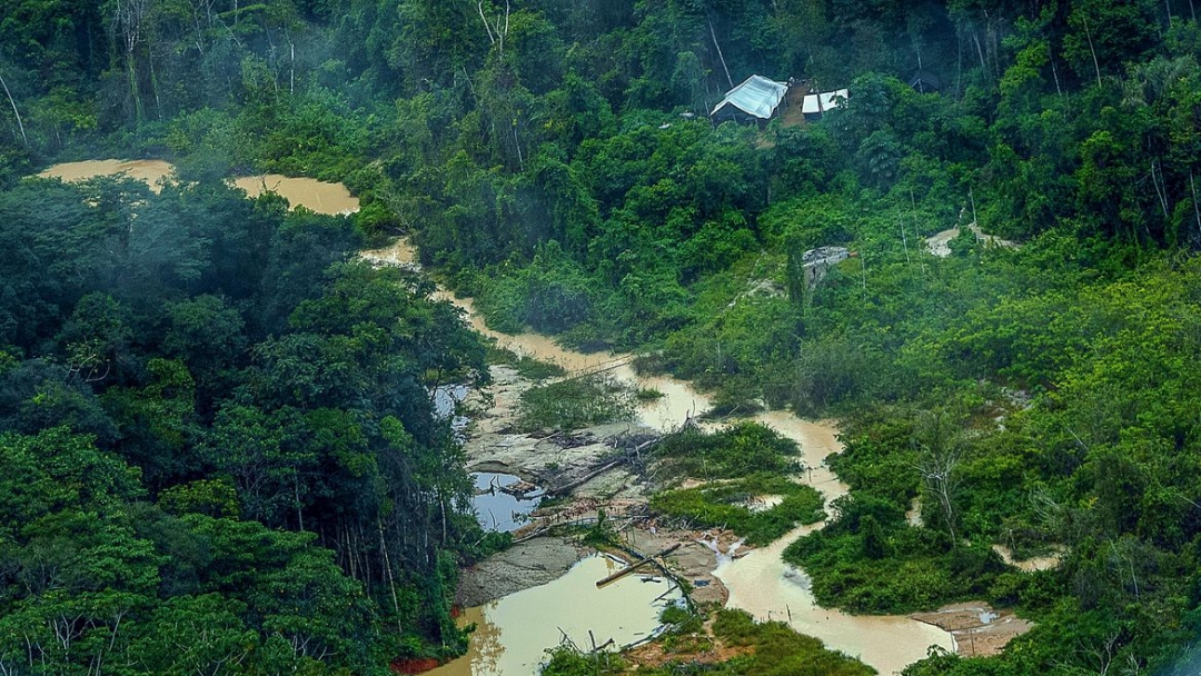 PF ouve primeiros depoimentos sobre ataque na Terra Yanomami
