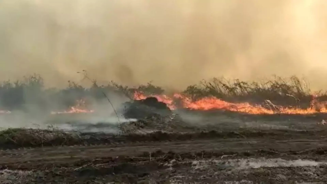 Per&iacute;odo &#039;des&eacute;rtico&#039; se aproxima e bombeiros de MS antecipam a&ccedil;&otilde;es contra inc&ecirc;ndios florestais