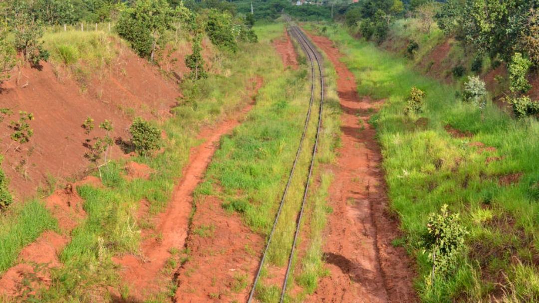 Estudo mostra que ramal reduz custo do frete em 40% e potencial de carga &eacute; de 11,9 milh&otilde;es de toneladas 