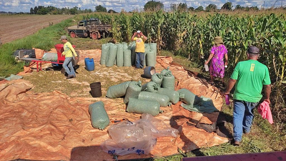 Prefeitura faz Dia de Campo e lan&ccedil;a nova etapa do projeto de apoio a produ&ccedil;&atilde;o leiteira 