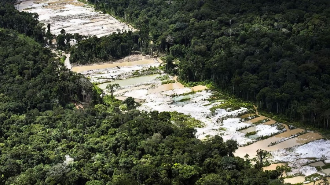 For&ccedil;a-tarefa destr&oacute;i dez garimpos ilegais na Amaz&ocirc;nia