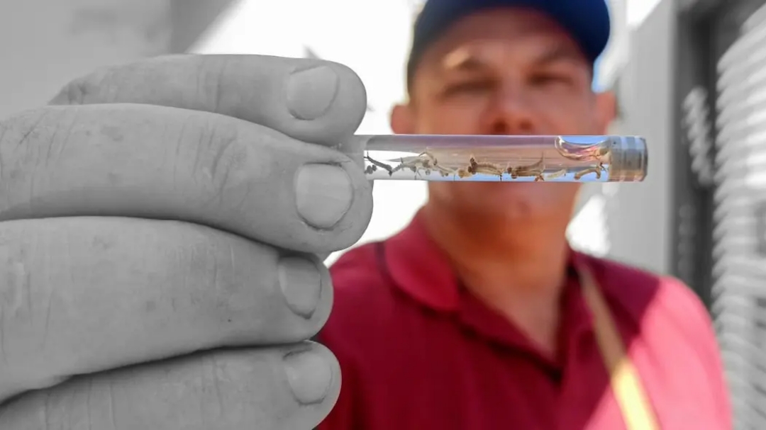 Com recorde de casos de dengue em dois anos, Sa&uacute;de repassa R$ 4 milh&otilde;es para munic&iacute;pios de MS