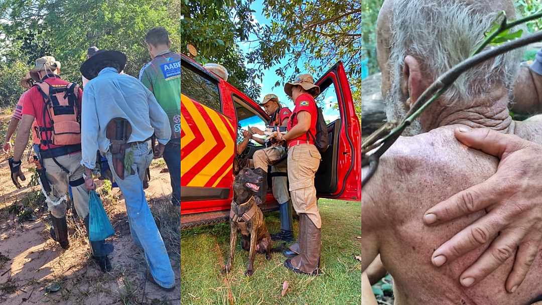 Com a ajuda da cadela Laika, os bombeiros localizaram um idoso desaparecido h&aacute; dois dias em uma mata fechada