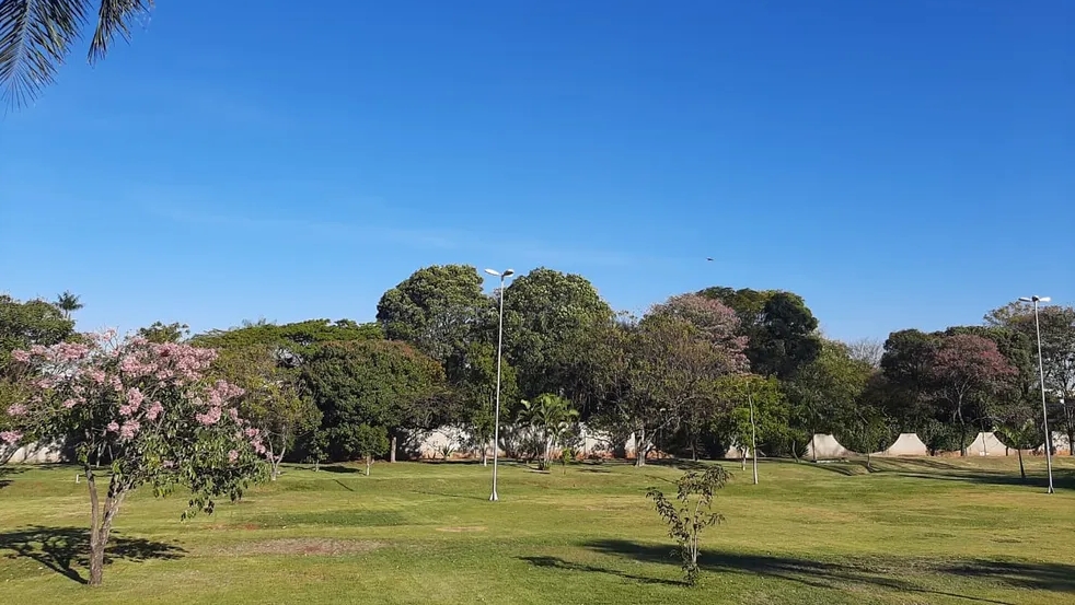 Fim de semana come&ccedil;a com sol e tempo est&aacute;vel na maior parte de MS