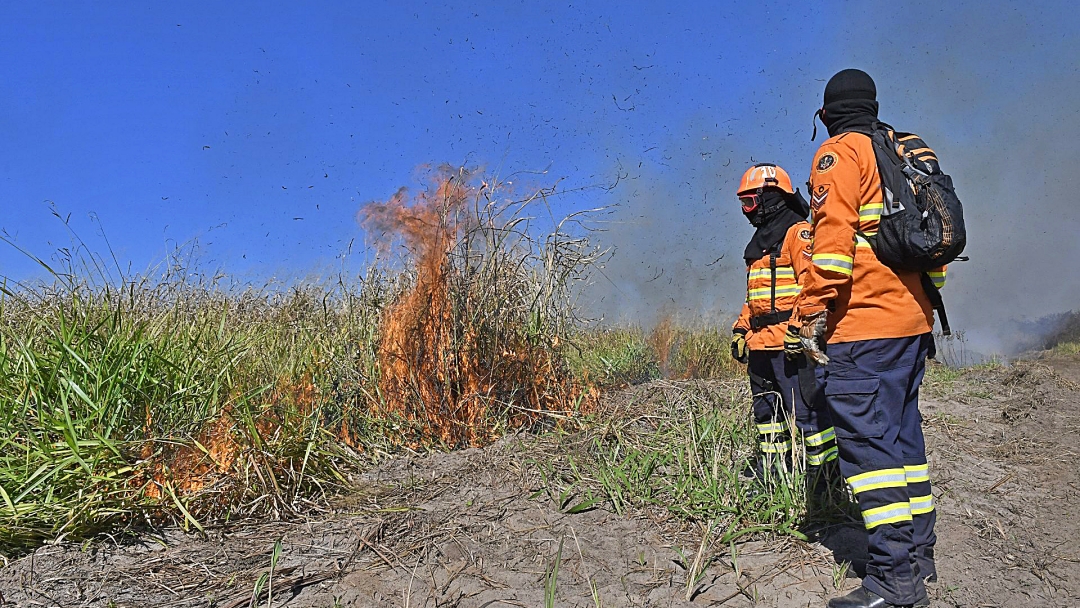 A&ccedil;&atilde;o integrada e treinamento contribuem para preven&ccedil;&atilde;o de inc&ecirc;ndios florestais em MS