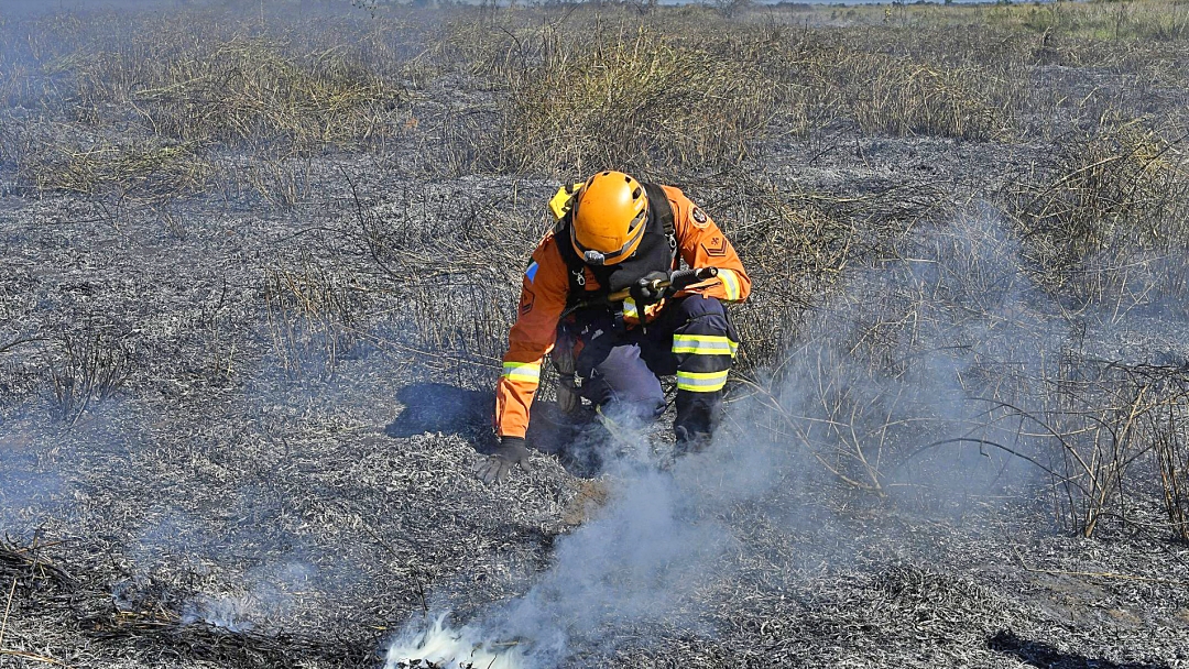 A&ccedil;&atilde;o integrada e treinamento contribuem para preven&ccedil;&atilde;o de inc&ecirc;ndios florestais em MS