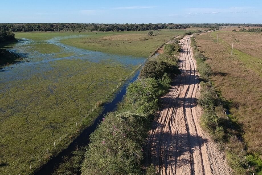 Tribunal de Contas de MS vai embargar rodovia para preserva&ccedil;&atilde;o do Pantanal