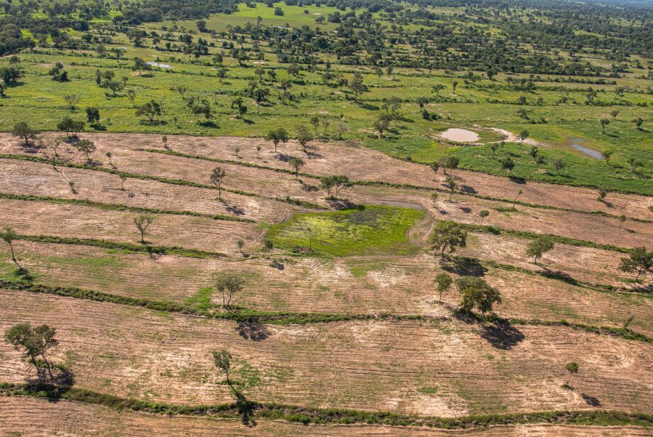 MPE diz que lei de MS &eacute; permissiva e exige fim dos desmatamentos no Pantanal