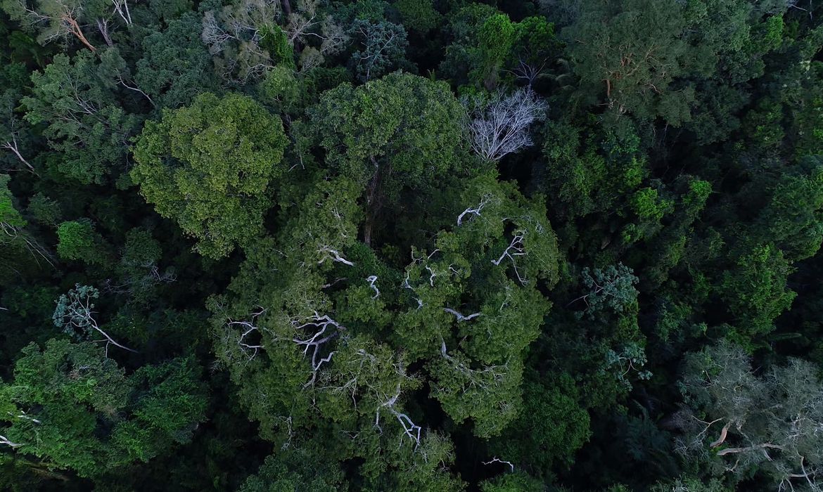 C&uacute;pula ser&aacute; &ldquo;novo tempo&rdquo; para comunidades amaz&ocirc;nicas