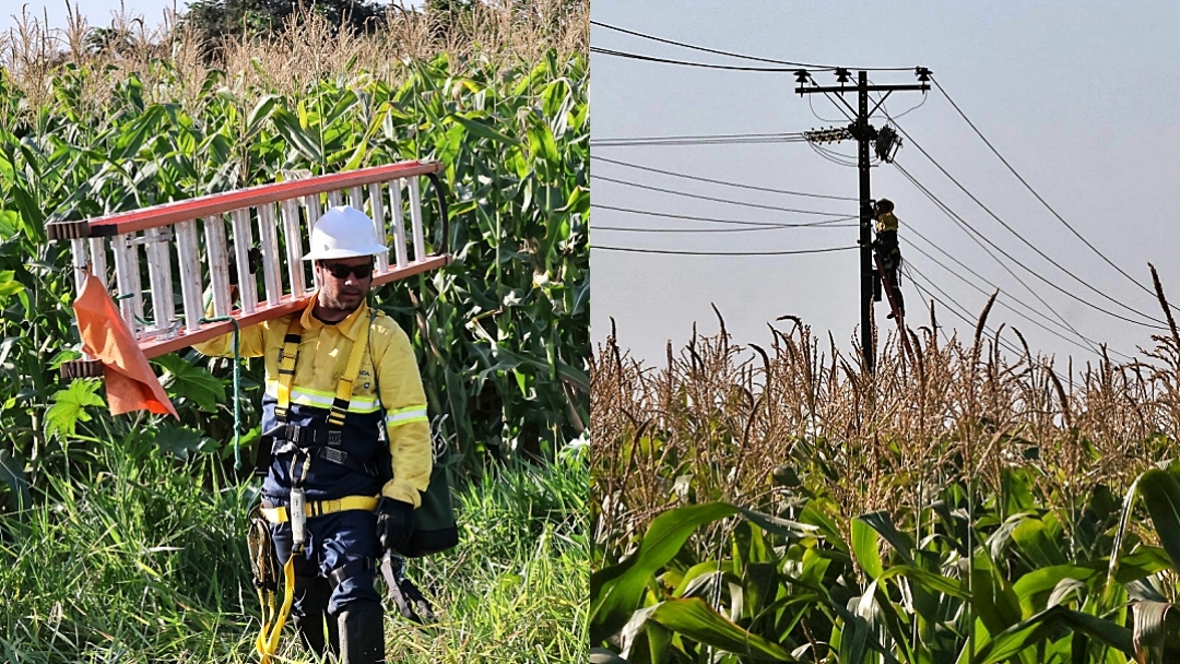 Obras da Infovia Digital entram em fase final na Capital e avan&ccedil;am para o interior