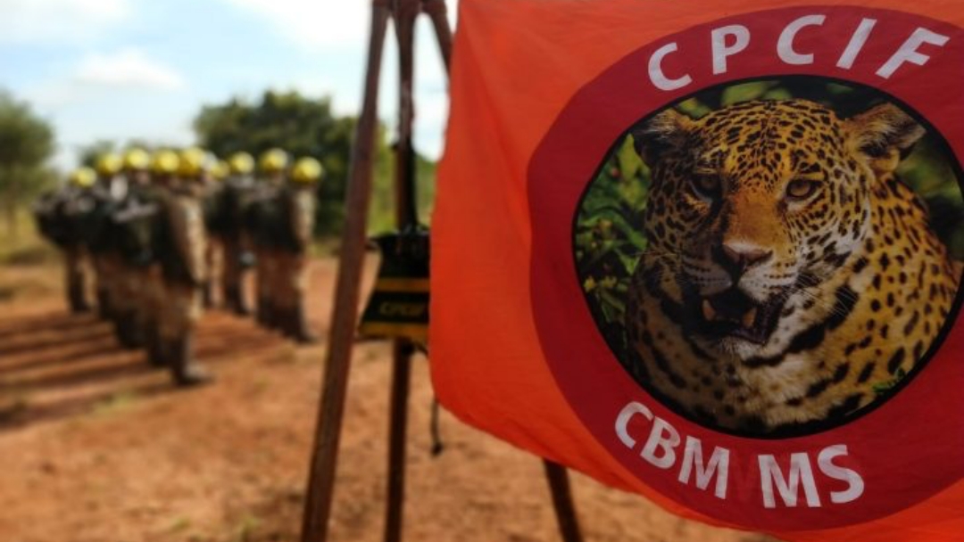 Meio Ambiente: Corpo de Bombeiros inicia curso de combate a inc&ecirc;ndios florestais nesta ter&ccedil;a