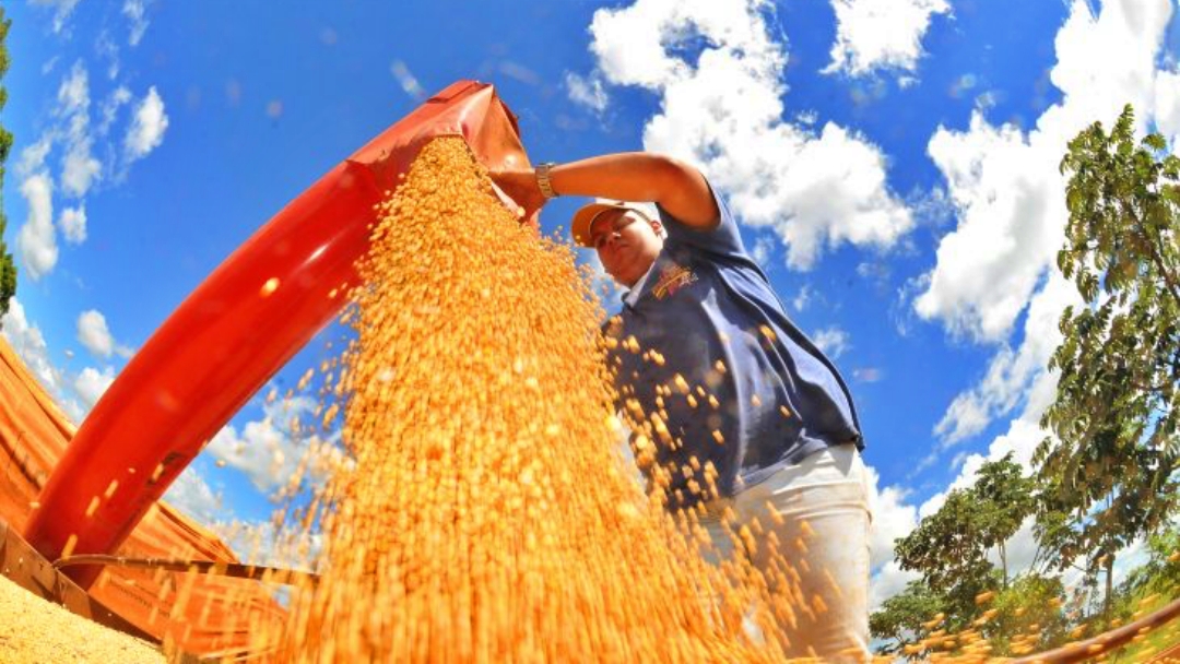 MS desponta no agroneg&oacute;cio nacional com alta na renda agropecu&aacute;ria