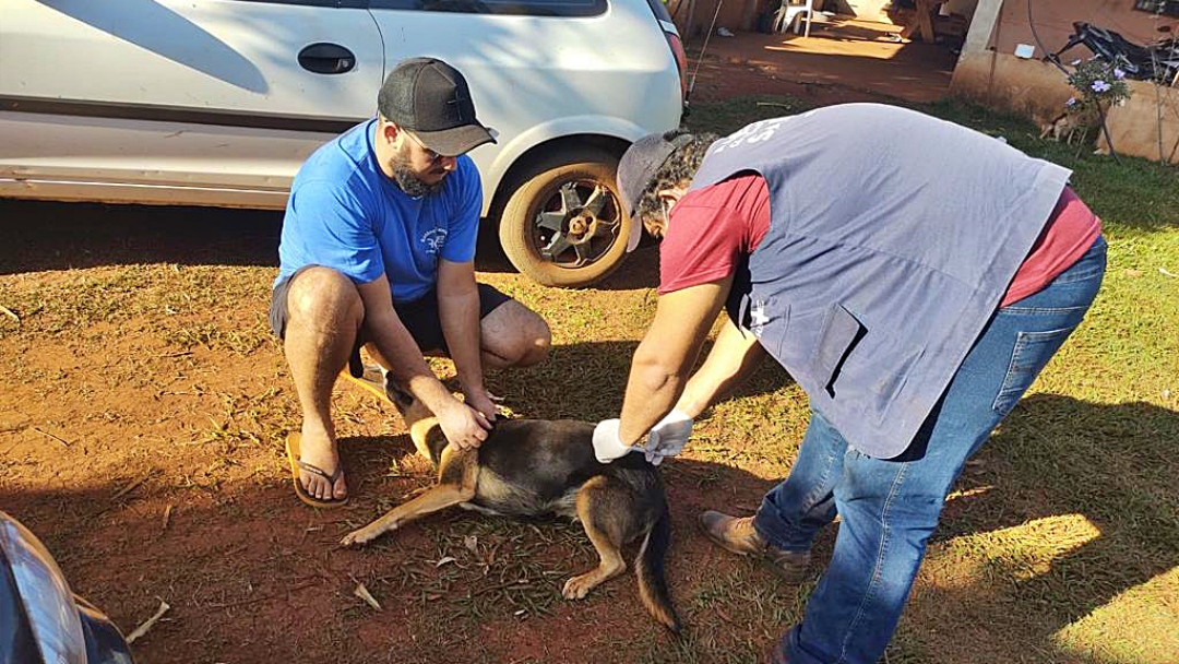 Sa&uacute;de ir&aacute; ao Cap&atilde;o Seco e Jiboia para vacinar c&atilde;es e gatos contra a raiva