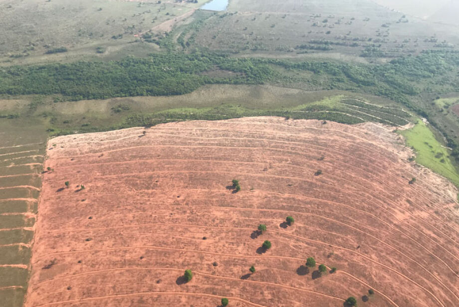 Ibama espera que Lei do Pantanal possa atender o setor produtivo