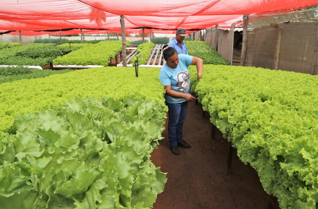 Cadastro do Produtor garante transpar&ecirc;ncia em servi&ccedil;os prestados &agrave; agricultura familiar