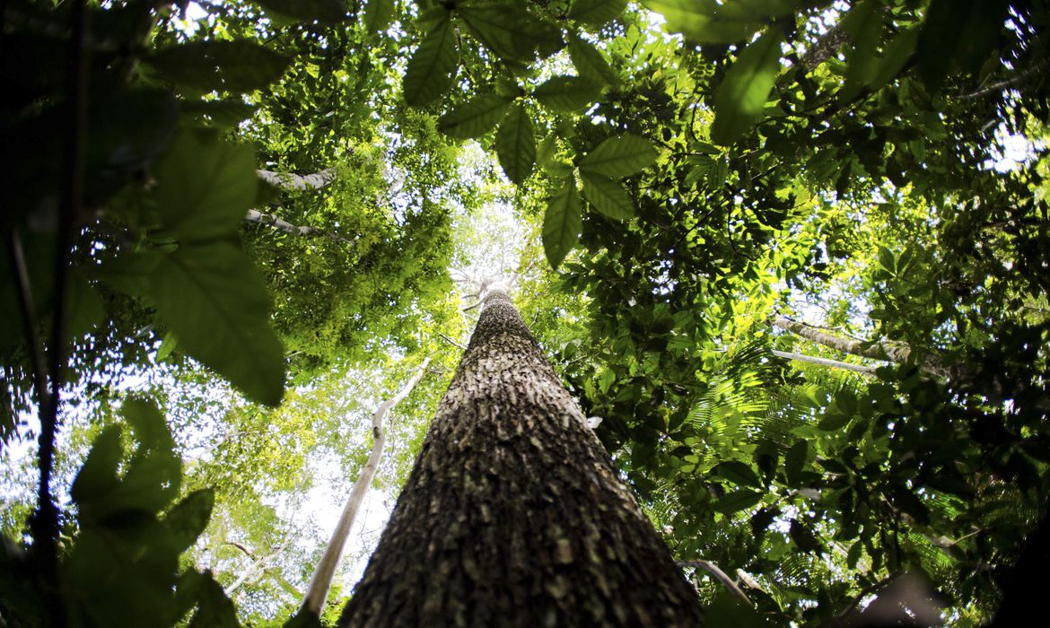 Manaus sedia primeira edi&ccedil;&atilde;o da Glocal Amaz&ocirc;nia