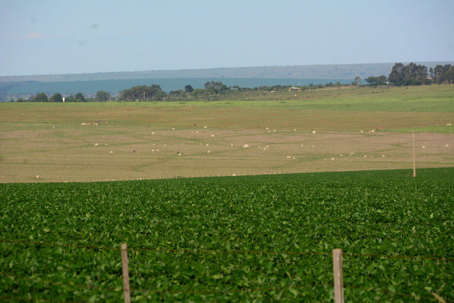 PIB da agropecu&aacute;ria deve crescer 10% em Mato Grosso do Sul em 2023