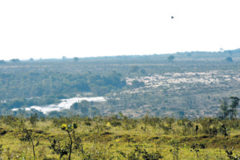 Governo federal quer recuperar at&eacute; 1,8 milh&atilde;o de hectares de &aacute;reas degradadas no Estado