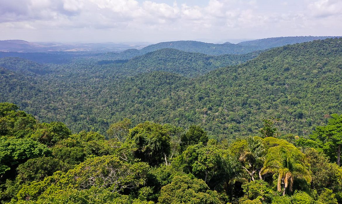 Festivais Dia da Amaz&ocirc;nia alerta para defesa dos biomas brasileiros