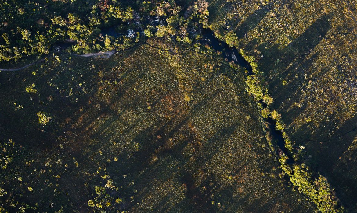 Desmatamento do Cerrado amea&ccedil;a seguran&ccedil;a h&iacute;drica de todo o Brasil