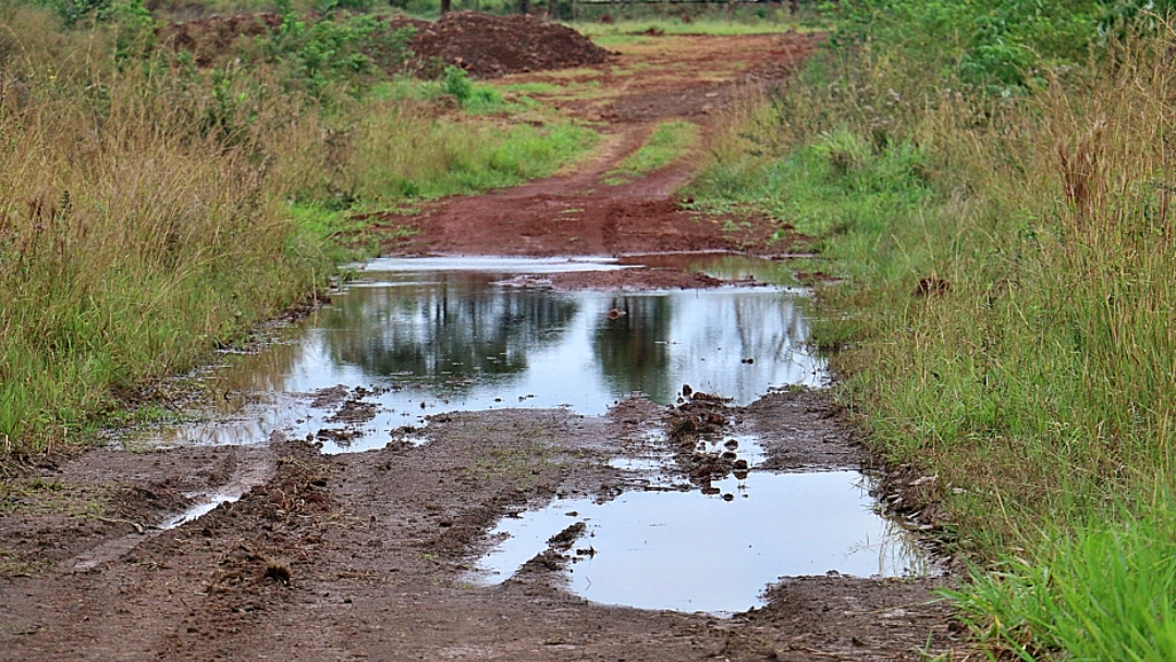 Com licen&ccedil;a ambiental, Prefeitura vai concluir travessia em acesso ao frigor&iacute;fico