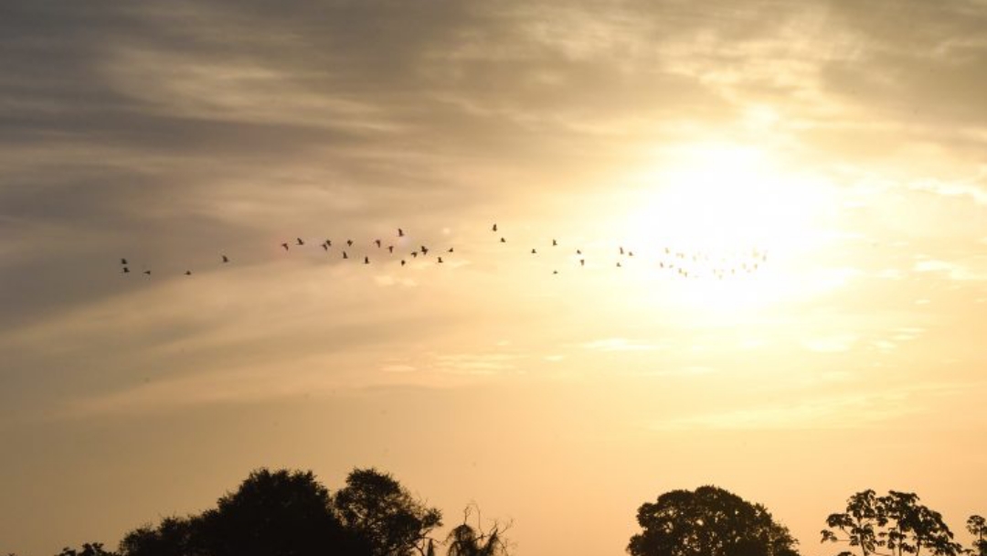 Ter&ccedil;a-feira tem previs&atilde;o de altas temperaturas e probabilidade de chuvas em MS