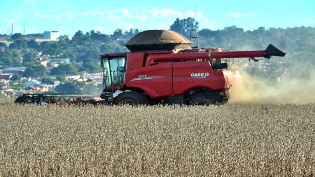 Munic&iacute;pios caem no ranking, mas MS ainda figura como o 5&ordm; maior produtor