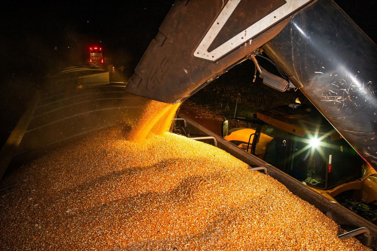 Refer&ecirc;ncia na agricultura, produtores de Sidrol&acirc;ndia recepcionam diplomatas de 10 pa&iacute;ses 