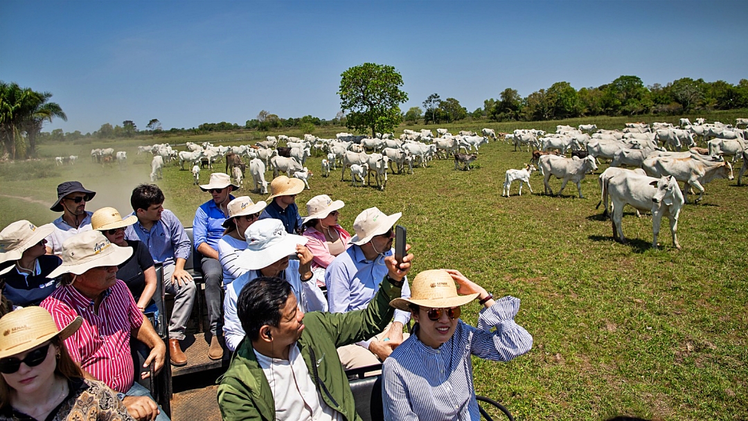 Refer&ecirc;ncia na agricultura, produtores de Sidrol&acirc;ndia recepcionam diplomatas de 10 pa&iacute;ses 