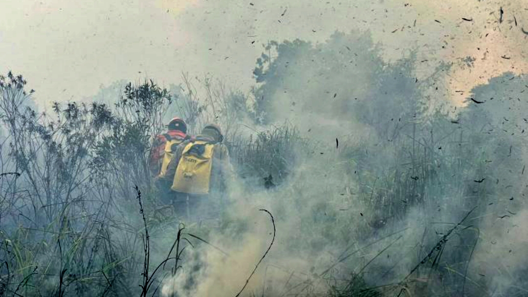 Bombeiros controlam inc&ecirc;ndio florestal em Bonito e continuam em monitoramento na regi&atilde;o