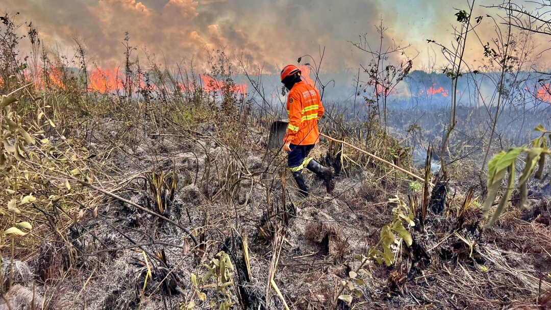 Bombeiros controlam inc&ecirc;ndio florestal em Bonito e continuam em monitoramento na regi&atilde;o