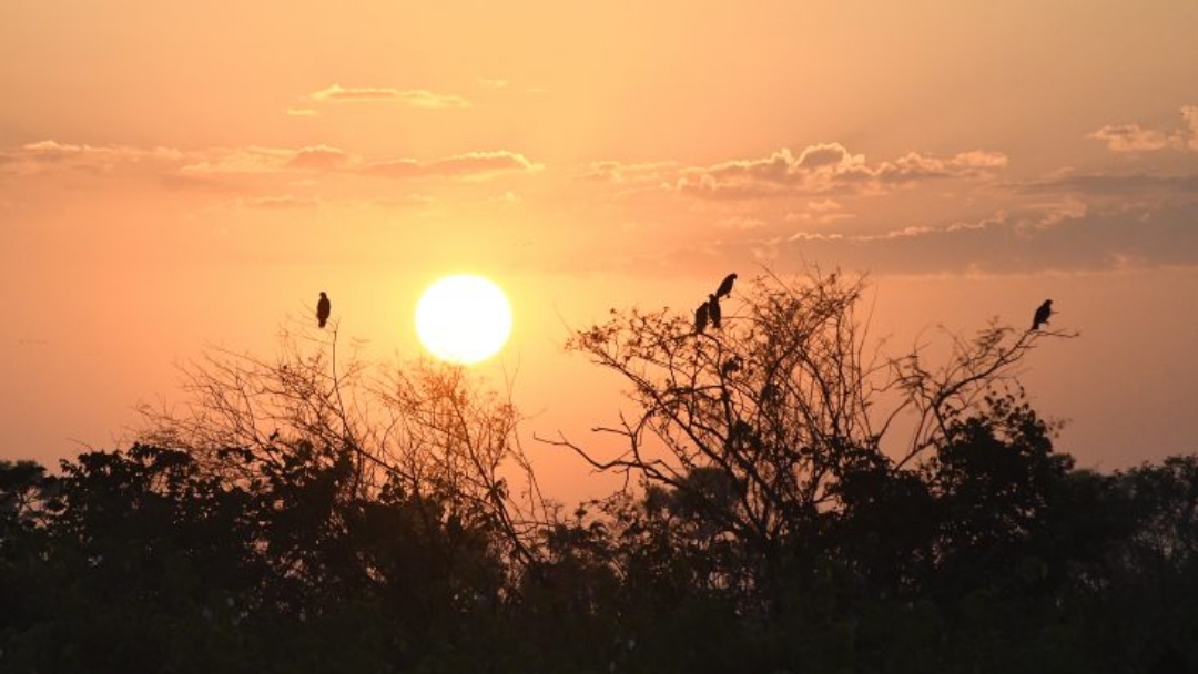 Domingo tem previs&atilde;o de 43&deg;C e calor n&atilde;o d&aacute; tr&eacute;gua em MS