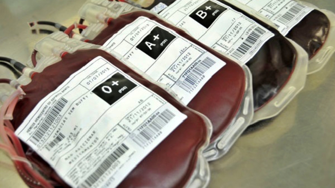 Doa&ccedil;&atilde;o de sangue ser&aacute; realizada na C&acirc;mara dia 5