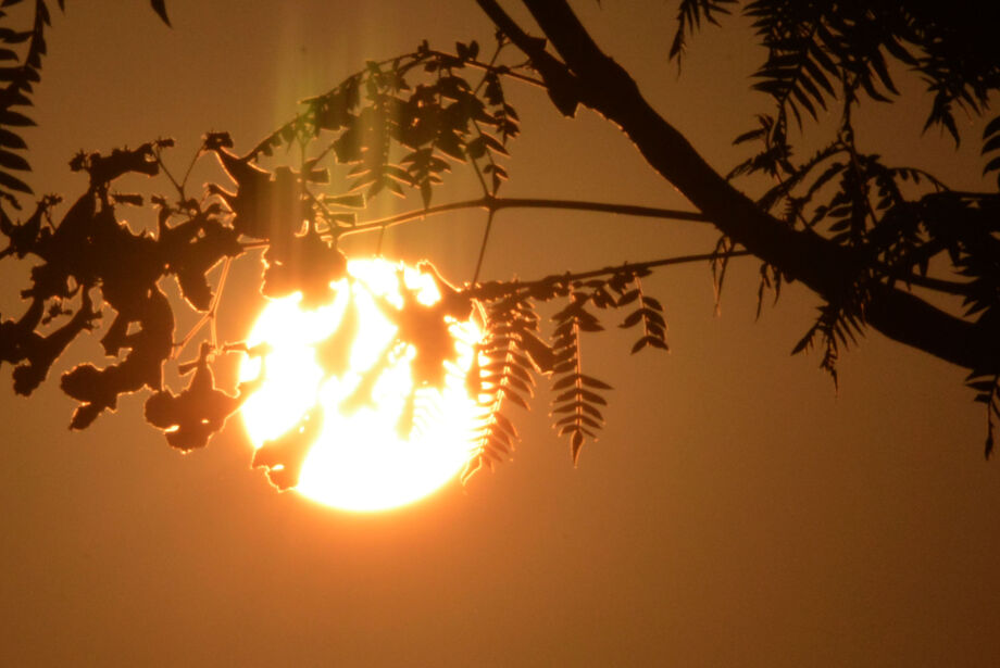 Onda de Calor: 15 munic&iacute;pios de MS registraram temperaturas acima de 40&ordm;C