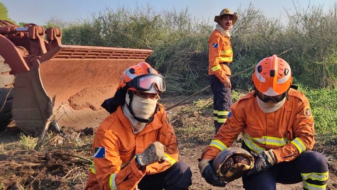 Inc&ecirc;ndios no Pantanal s&atilde;o controlados ap&oacute;s seis dias de atua&ccedil;&atilde;o dos bombeiros