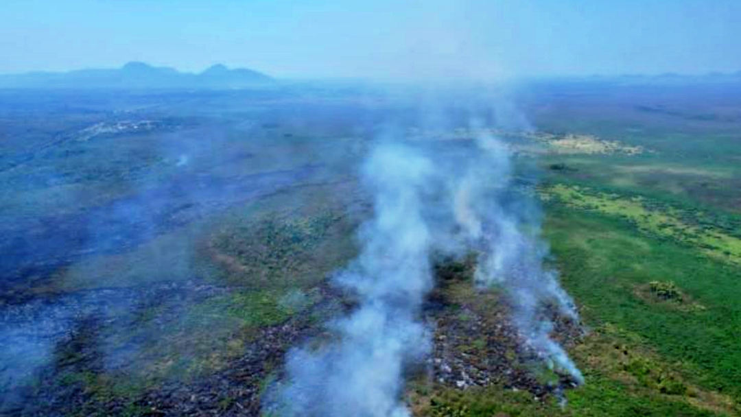 Inc&ecirc;ndios no Pantanal s&atilde;o controlados ap&oacute;s seis dias de atua&ccedil;&atilde;o dos bombeiros