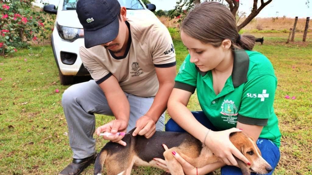 Sidrol&acirc;ndia teve 65% de cobertura vacinal antirr&aacute;bica